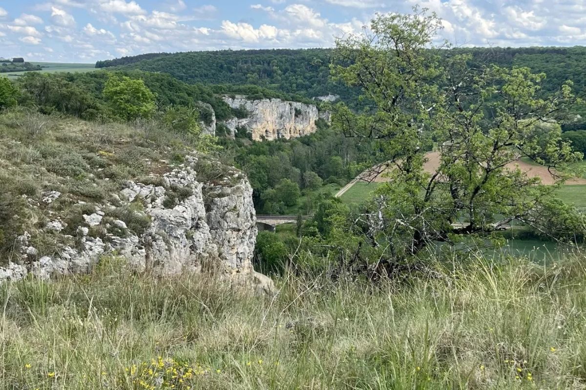 trail de village comment gagner