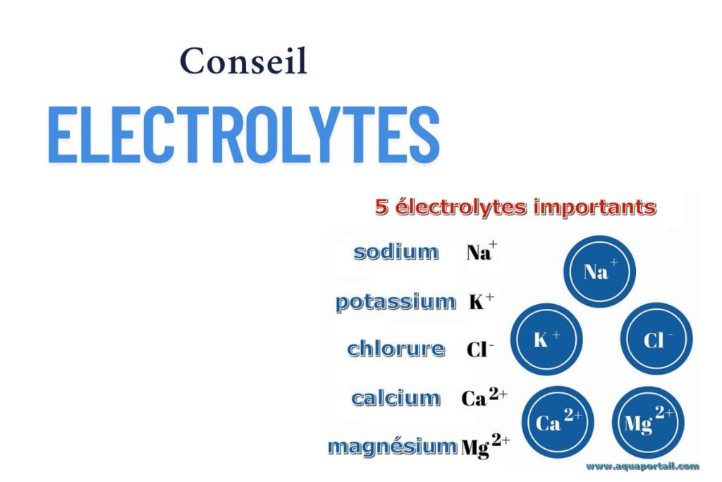 CONSEIL ELECTROLYTES APRES TRAIL